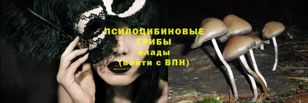 сатива Абдулино