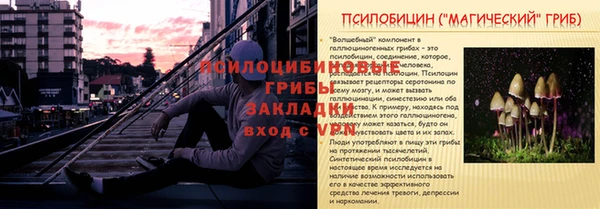 сатива Абдулино